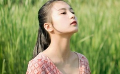 办公室的秘密赵雪晴全文免费